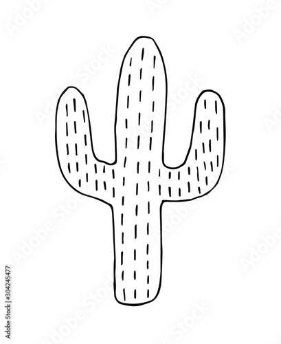 Vector hand drawn doodle sketch black outline cactus isolated on white background