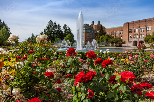 rose garden and fountain at University of Washington Drumheller
