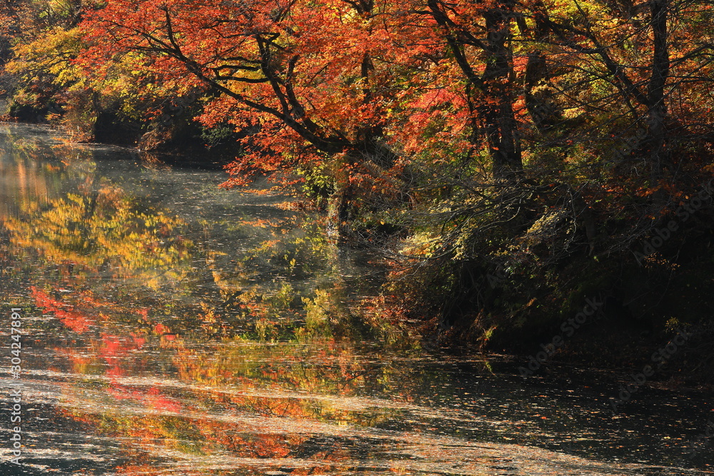 岩手県西和賀町 紅葉の錦秋湖 Stock Photo Adobe Stock 岩手県西和賀町 紅葉の錦秋湖 Stock Photo Adobe Stock