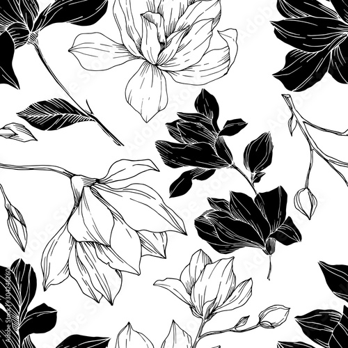 Vector Magnolia floral botanical flowers. Black and white engraved ink art. Seamless background pattern.