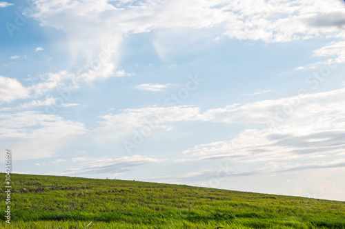 green field and blue sky