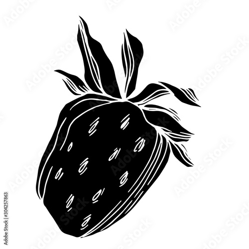Vector strawberry fresh berry healthy food. Black and white engraved ink art. Isolated strawberry illustration element.