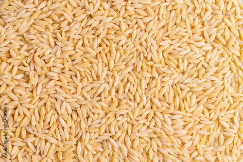 Orzo pasta, isolated on white background. Italian orzo pasta shaped like grains of rice, copy space, soft light