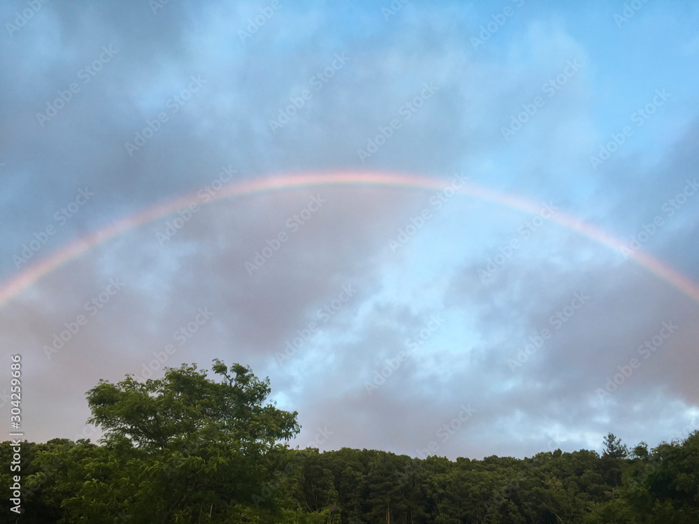 Naklejka premium Rainbow