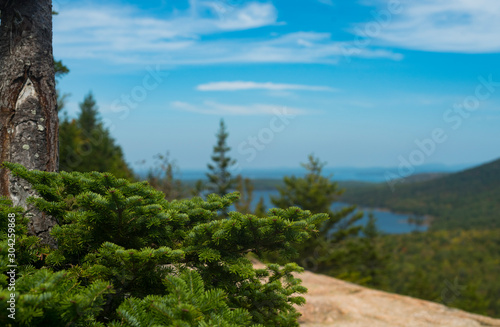 Landscape in Acaida National Park, Maine, USA © Joyce Vincent