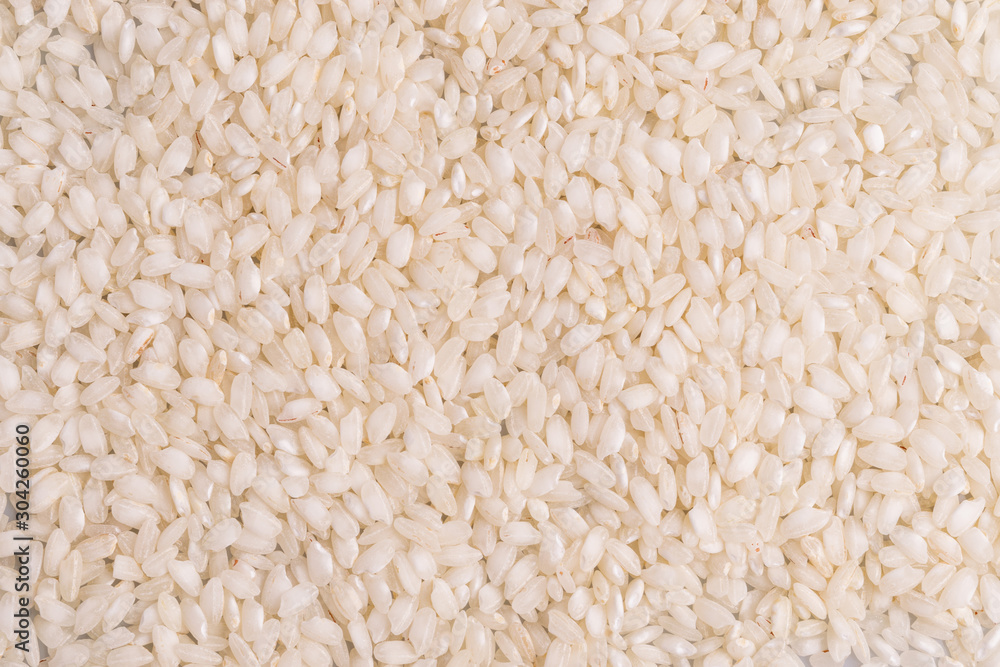 Italian Risotto rice on white background. Copy Space. Soft light. Latin term Italian Risotto rice on white background. Copy Space. Soft light. Latin term