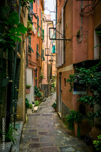 Fototapeta Naklejka Na Ścianę i Meble -  Walkway between houses in Vernazza, Cinque Terre