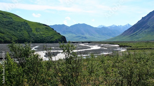 A river in Denali