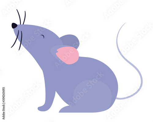 Isolated mouse cartoon vector design