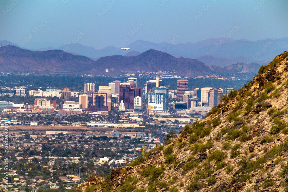 Obraz premium Phoenix 