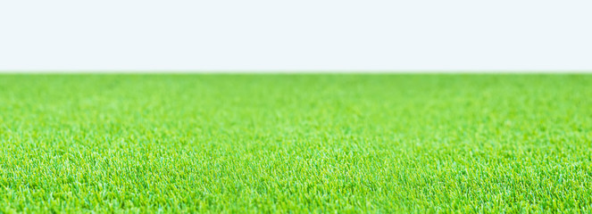 closeup green artificial grass on white background