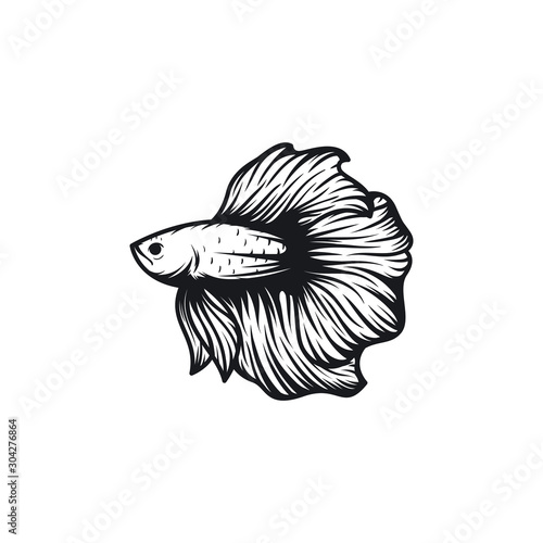beautiful betta fish vector illustration