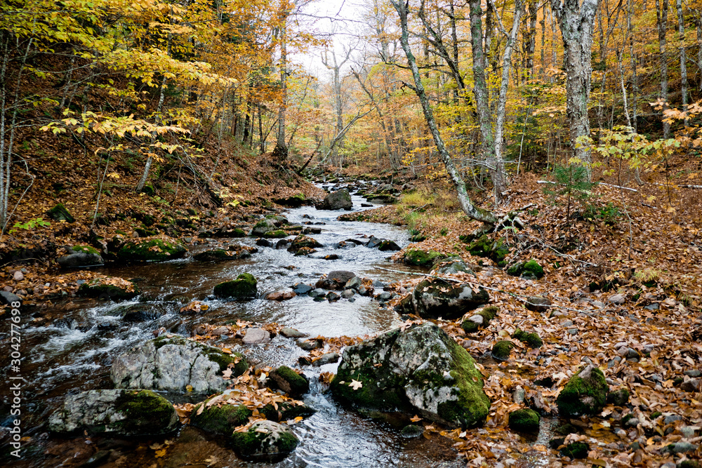 Flowing river in autumn forest.