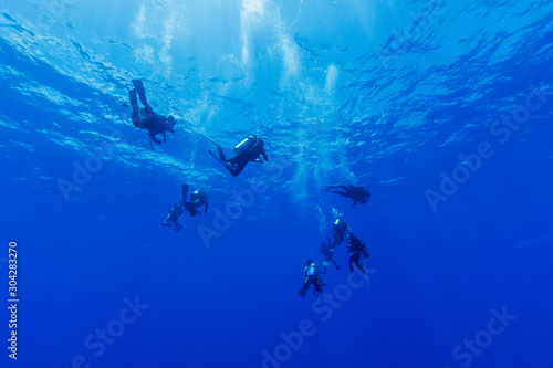 小笠原の青い海を潜るダイバー
