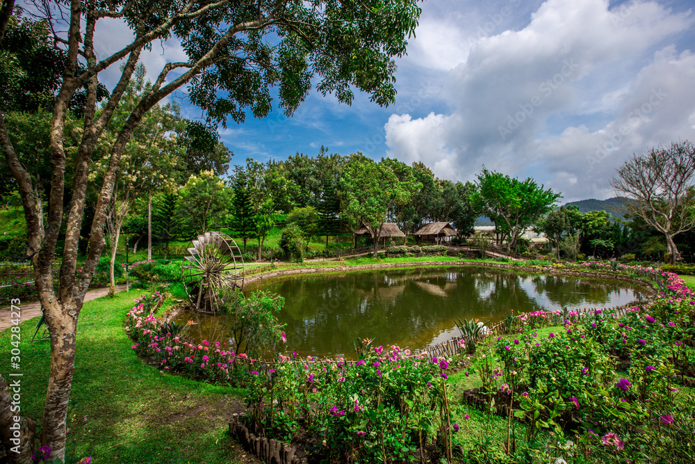 The natural background of the decoration of the park or the ornamental garden, the atmosphere is surrounded by many plants, for people to sit and relax while traveling. B The natural background of the decoration of the park or the ornamental garden, the atmosphere is surrounded by many plants, for people to sit and relax while traveling. B