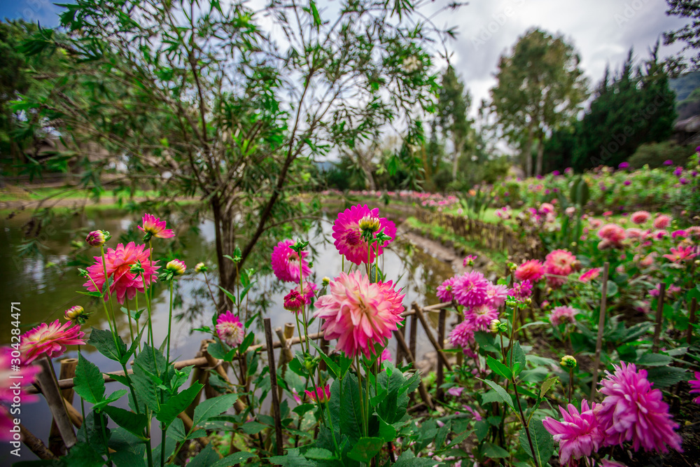 The natural background of the decoration of the park or the ornamental garden, the atmosphere is surrounded by many plants, for people to sit and relax while traveling.  B