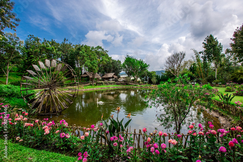 The natural background of the decoration of the park or the ornamental garden, the atmosphere is surrounded by many plants, for people to sit and relax while traveling. B