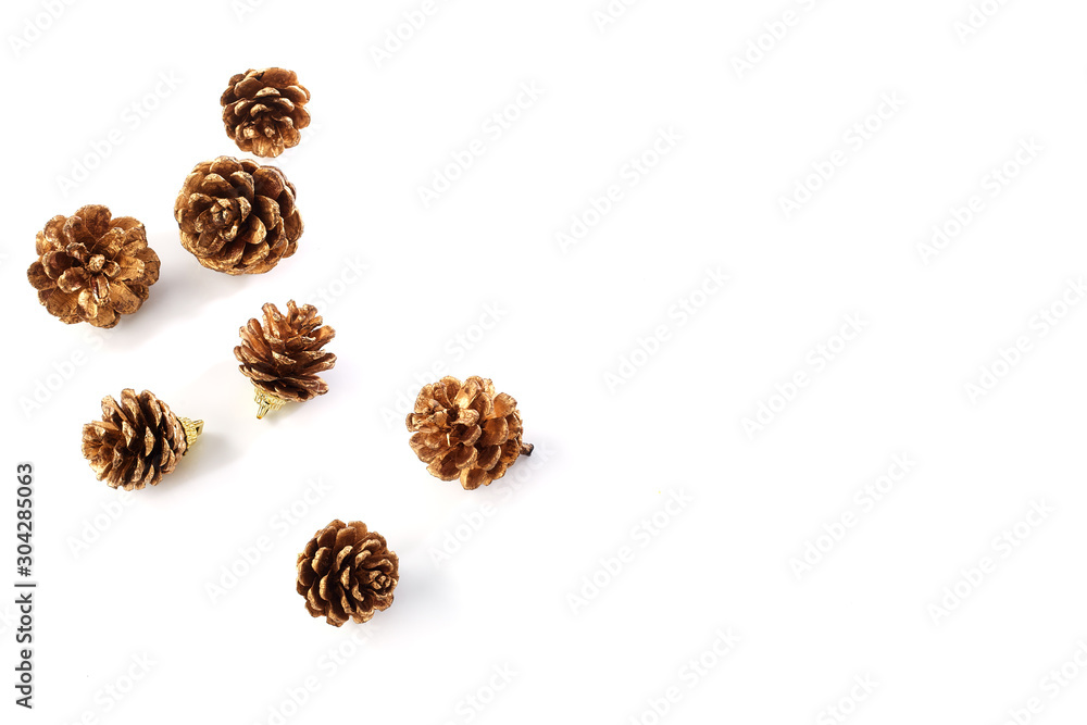 Pine cone on white background Pine cone on white background