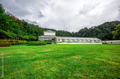 Queen Sirikit Botanical Garden- Chiang Mai:19September2019, atmosphere in the nursery of various garden plants(winter flowers Located Mae Rim District,a conservation and tourist attraction,Thailand