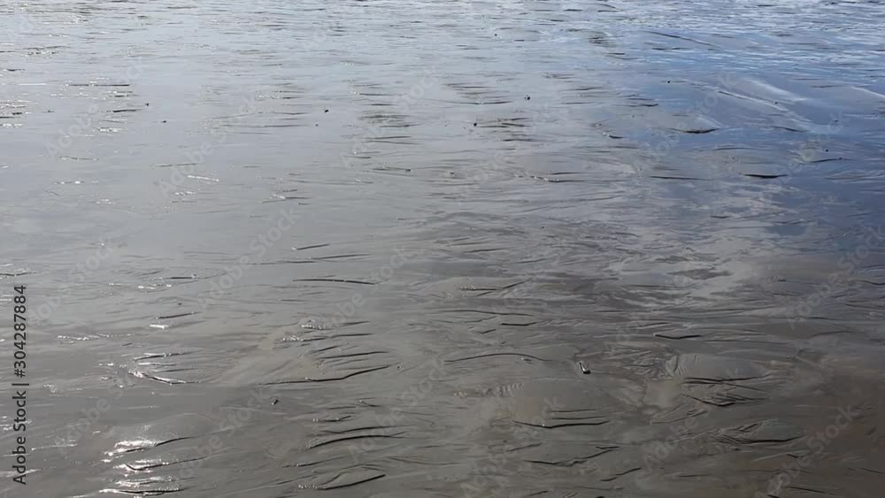 Sandy Pacific Coast at Low Tide Sandy Pacific Coast at Low Tide