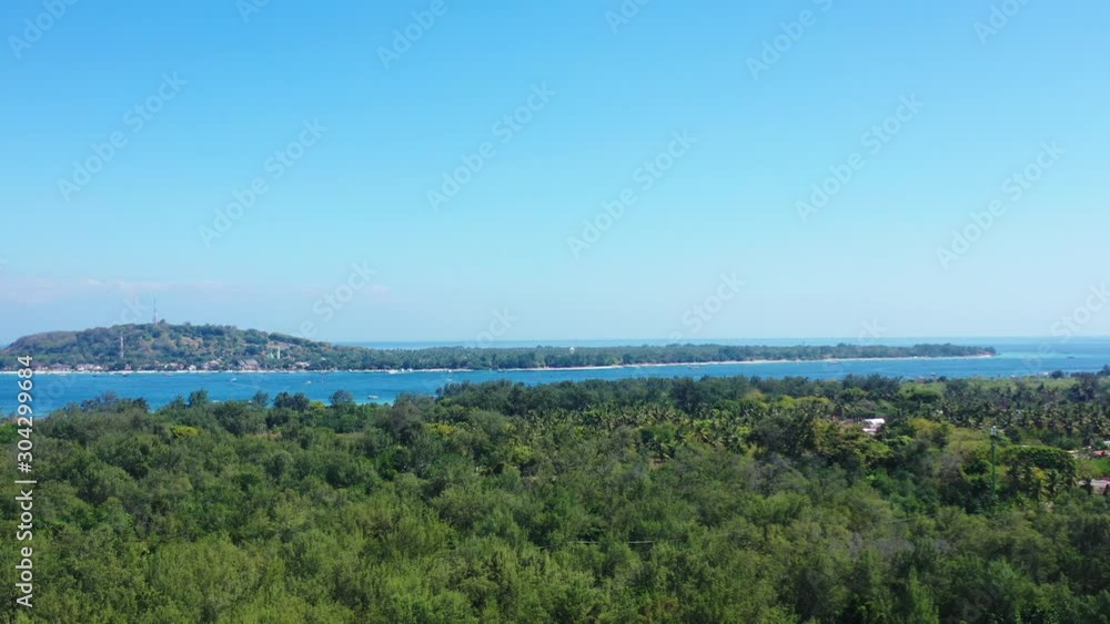 flying over the palm plantation on tropical island. Aerial panorama. summer vacation background flying over the palm plantation on tropical island. Aerial panorama. summer vacation background