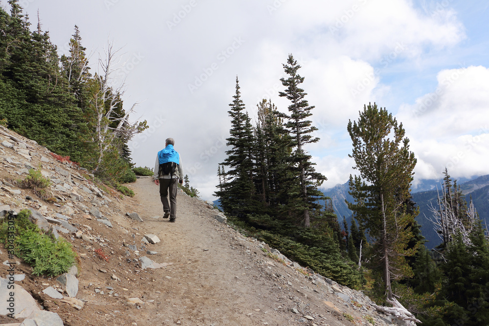 Man climbing a mountain trail near Mount Rainier, Washington State, USA