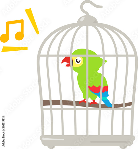 鳥かごの中で鳴くオウム