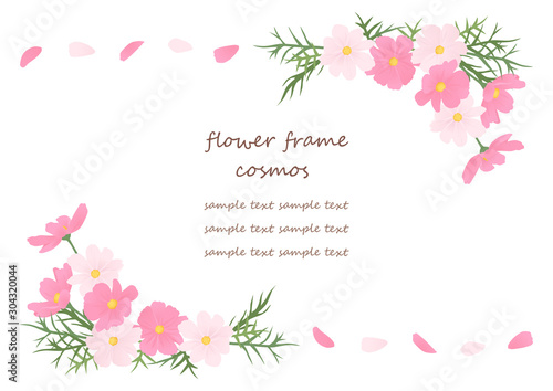 コスモスのフレーム