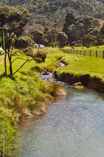 Scenes around Huia and little Huia, West Titirangi, Auckland, New Zealand. photo