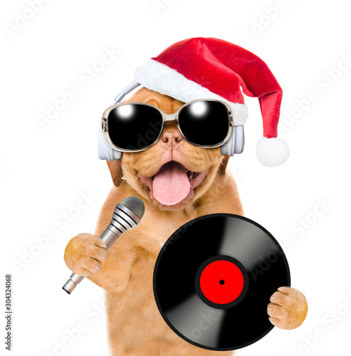 Funny puppy wearing a red christmas hat with earphones and sunglasses holds vinyl record and microphone. Isolated on white background © Ermolaev Alexandr