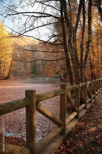 Autumn landscape in (seven lakes) Yedigoller Park Bolu, Turkey photo