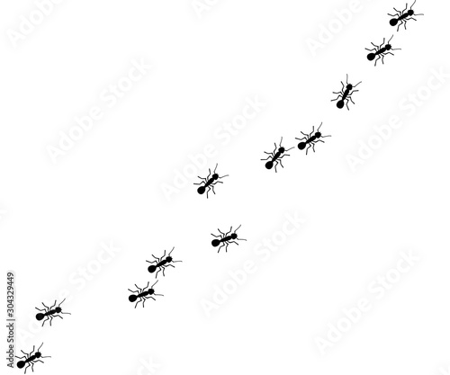 Worker ants marching. Vector ant seamless border. Working team concept. Small vector bug colony. Insects.