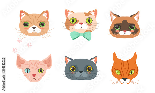 Cute Cartoon Cats and Dogs Muzzle Vector Set