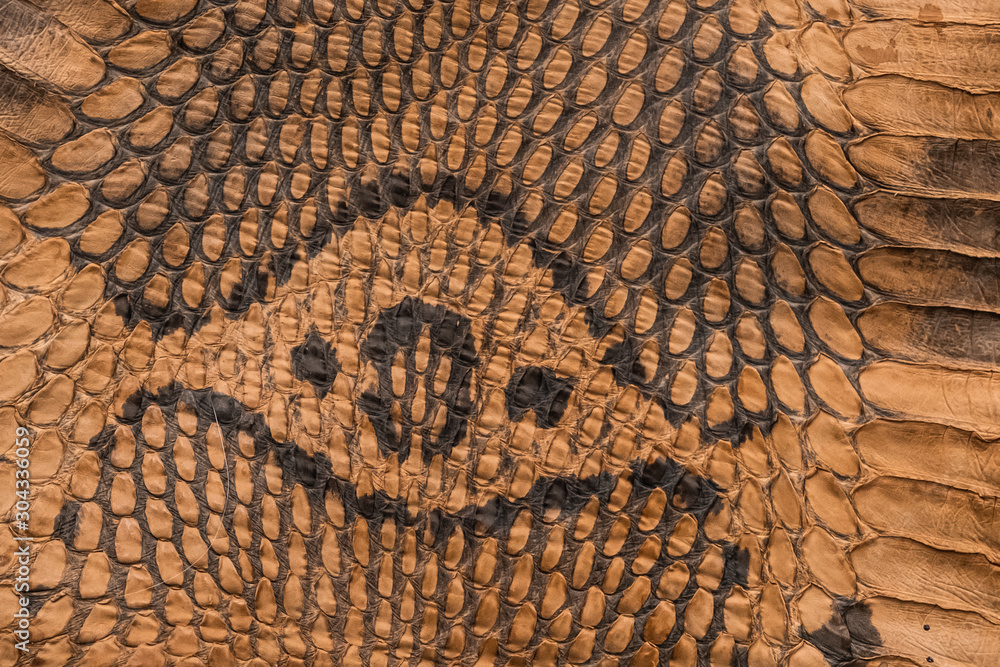 Naklejka premium Part of the leather of the head of a snake.
