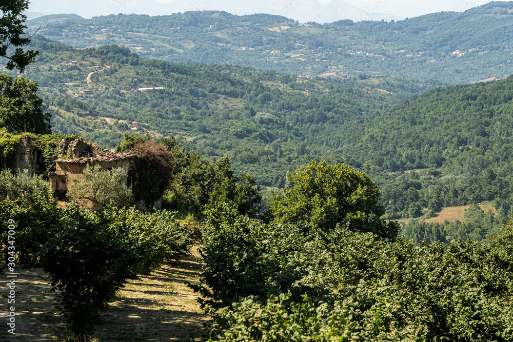Obraz premium Summer landscape in Irpinia, Southern Italy