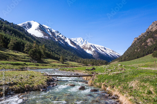 River in Caucasus Mountains. Karachay-Cherkessia republic  Russia