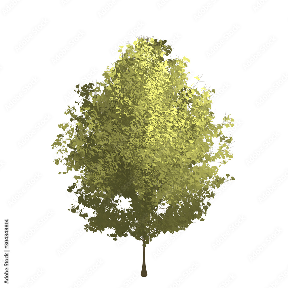 Fototapeta premium Short ginko tree graphic picture. Three-dimensional light and shadow design. For decorating the garden and forest.