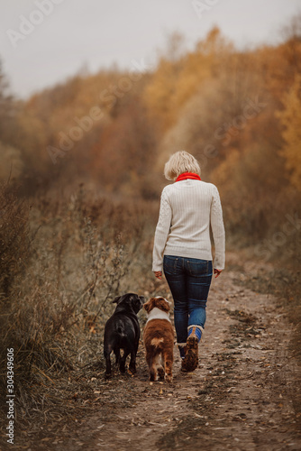 Photography woman walking two dogs in an autumn forest