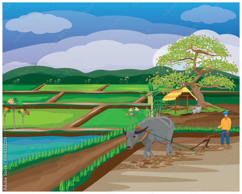 farmer plow in paddy field vector design