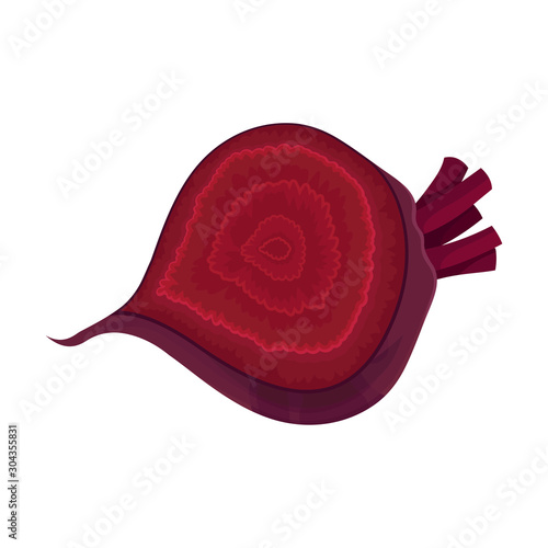 Half Beet-Root With Red Pith Vector Illustration