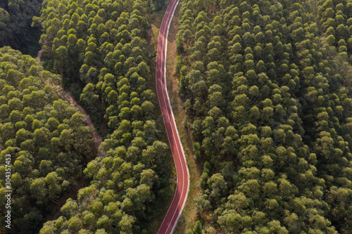 Overlooking the red curved road through the dense tropical forests of the jungle © bqmeng