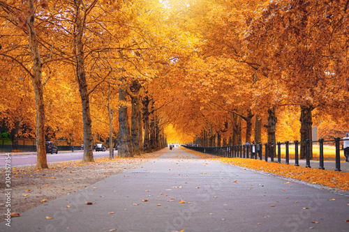 Canvas Print Autumn color leaves in green park london