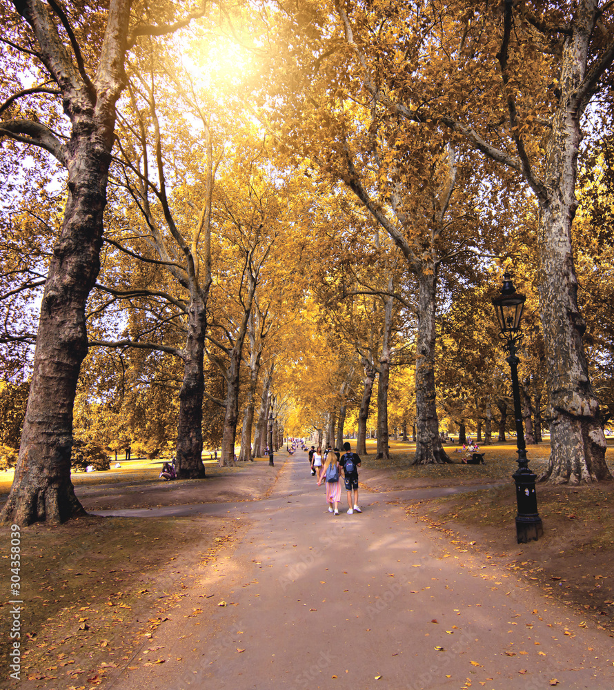 Fototapeta premium Autumn color leaves in green park london