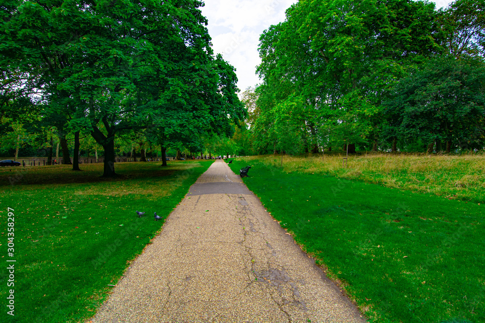 Beautiful view of green park in London during summer