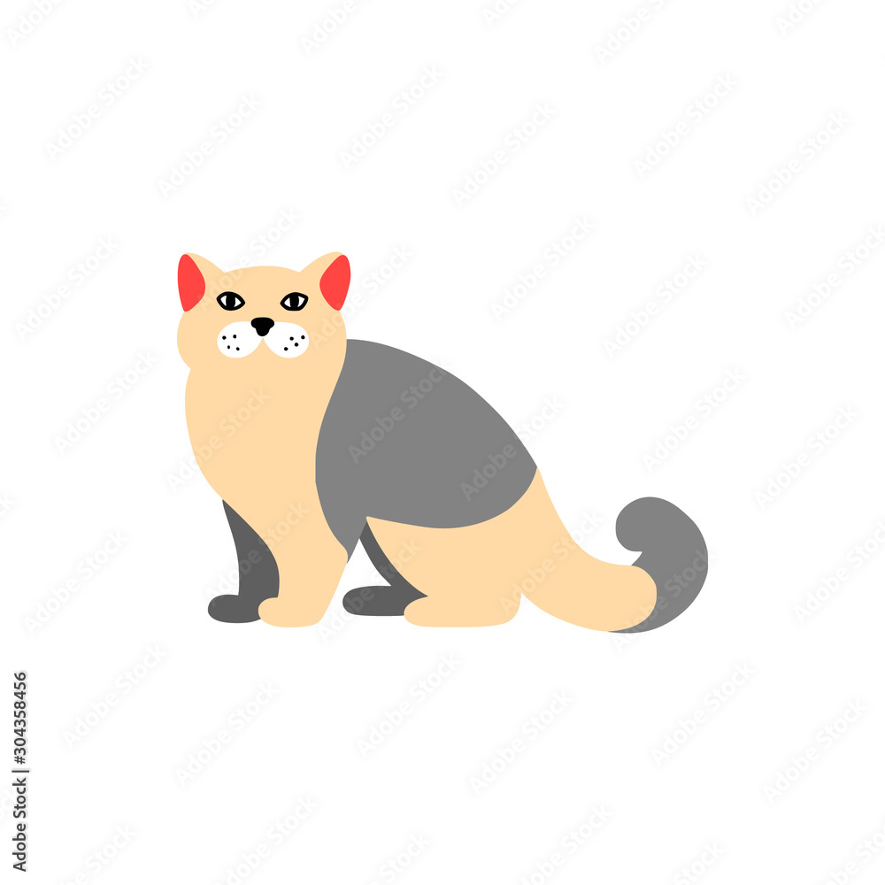 Obraz premium Основные RGB