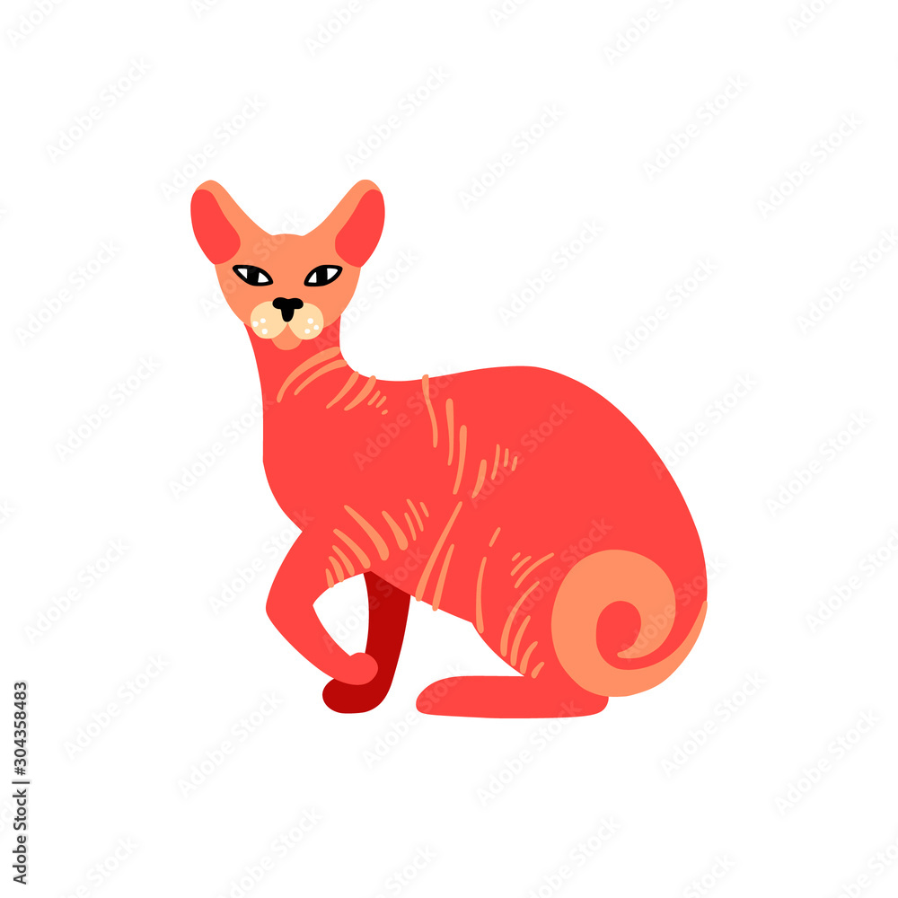 Obraz premium Основные RGB