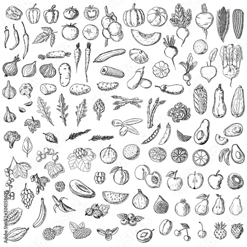 Set of vegetables, fruits and berries. Vector cartoon illustration. Isolated objects on a white background. Hand-drawn style.