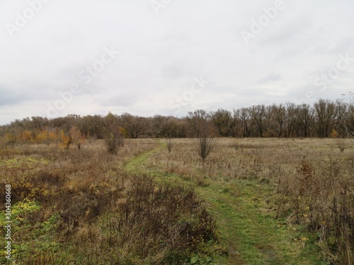 Fototapeta Naklejka Na Ścianę i Meble -   winding path in the wild field