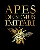 APES DEBEMUS IMITARI (Gold)