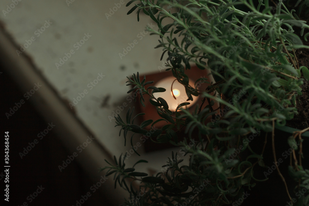 Room, window. On a white windowsill are potted green plants (lavender). Burning candle on a wooden candlestick Room, window. On a white windowsill are potted green plants (lavender). Burning candle on a wooden candlestick